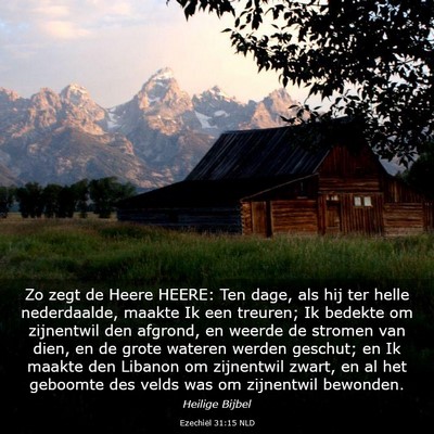Picture 03 - Ezechiël 31:15 NLD - Zo zegt de Heere HEERE: Ten dage, als hij ter - Bible Verse Picture