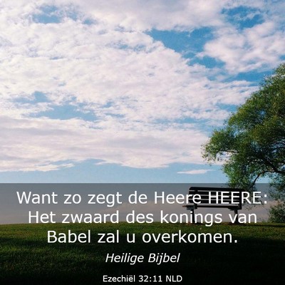 Picture 03 - Ezechiël 32:11 NLD - Want zo zegt de Heere HEERE: Het zwaard des - Bible Verse Picture