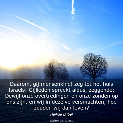 Picture 03 - Ezechiël 33:10 NLD - Daarom, gij mensenkind! zeg tot het huis Israels: - Bible Verse Picture