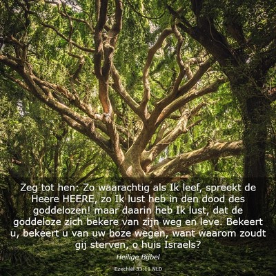 Picture 03 - Ezechiël 33:11 NLD - Zeg tot hen: Zo waarachtig als Ik leef, spreekt - Bible Verse Picture
