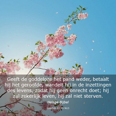 Picture 03 - Ezechiël 33:15 NLD - Geeft de goddeloze het pand weder, betaalt hij - Bible Verse Picture