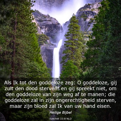 Picture 03 - Ezechiël 33:8 NLD - Als Ik tot den goddeloze zeg: O goddeloze, gij - Bible Verse Picture