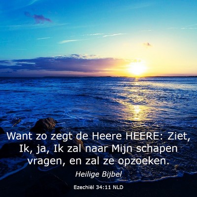 Picture 03 - Ezechiël 34:11 NLD - Want zo zegt de Heere HEERE: Ziet, Ik, ja, Ik zal - Bible Verse Picture