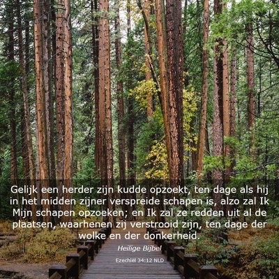 Picture 03 - Ezechiël 34:12 NLD - Gelijk een herder zijn kudde opzoekt, ten dage - Bible Verse Picture