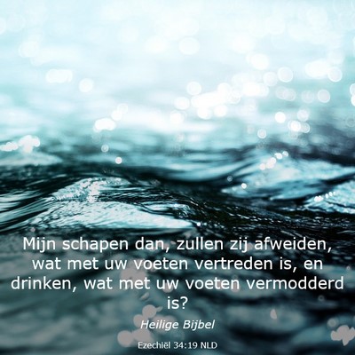 Picture 03 - Ezechiël 34:19 NLD - Mijn schapen dan, zullen zij afweiden, wat met uw - Bible Verse Picture