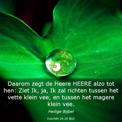 Picture 03 - Ezechiël 34:20 NLD - Daarom zegt de Heere HEERE alzo tot hen: Ziet Ik, - Bible Verse Picture