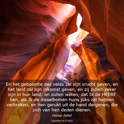 Picture 03 - Ezechiël 34:27 NLD - En het geboomte des velds zal zijn vrucht geven, - Bible Verse Picture