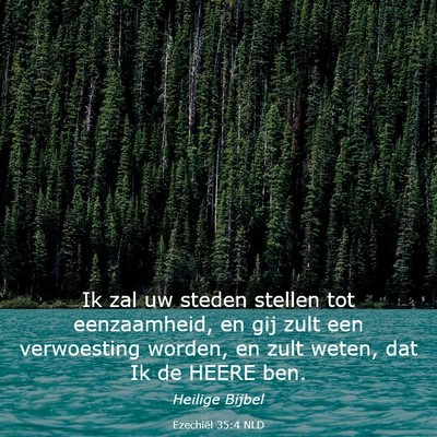 Picture 03 - Ezechiël 35:4 NLD - Ik zal uw steden stellen tot eenzaamheid, en gij - Bible Verse Picture