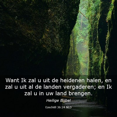 Picture 03 - Ezechiël 36:24 NLD - Want Ik zal u uit de heidenen halen, en zal u uit - Bible Verse Picture