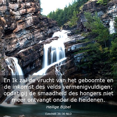 Picture 03 - Ezechiël 36:30 NLD - En Ik zal de vrucht van het geboomte en de - Bible Verse Picture