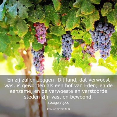 Picture 03 - Ezechiël 36:35 NLD - En zij zullen zeggen: Dit land, dat verwoest was, - Bible Verse Picture