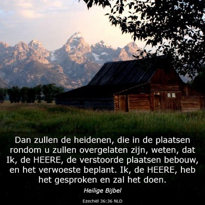 Picture 03 - Ezechiël 36:36 NLD - Dan zullen de heidenen, die in de plaatsen rondom - Bible Verse Picture