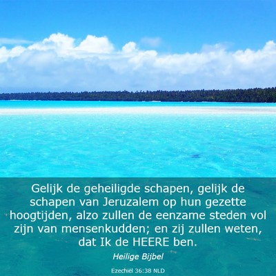 Picture 03 - Ezechiël 36:38 NLD - Gelijk de geheiligde schapen, gelijk de schapen - Bible Verse Picture