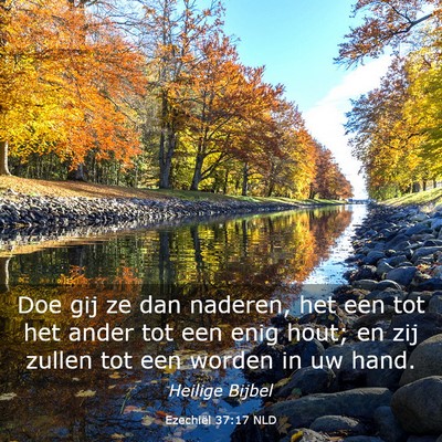 Picture 03 - Ezechiël 37:17 NLD - Doe gij ze dan naderen, het een tot het ander tot - Bible Verse Picture