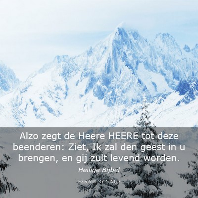 Picture 03 - Ezechiël 37:5 NLD - Alzo zegt de Heere HEERE tot deze beenderen: - Bible Verse Picture