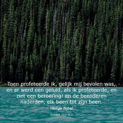 Picture 03 - Ezechiël 37:7 NLD - Toen profeteerde ik, gelijk mij bevolen was, en - Bible Verse Picture