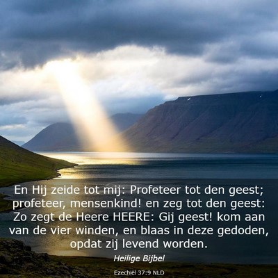 Picture 03 - Ezechiël 37:9 NLD - En Hij zeide tot mij: Profeteer tot den geest; - Bible Verse Picture