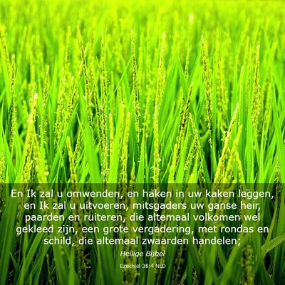 Picture 03 - Ezechiël 38:4 NLD - En Ik zal u omwenden, en haken in uw kaken - Bible Verse Picture