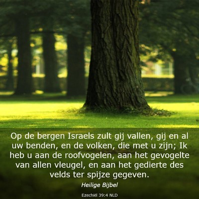 Picture 03 - Ezechiël 39:4 NLD - Op de bergen Israels zult gij vallen, gij en al - Bible Verse Picture