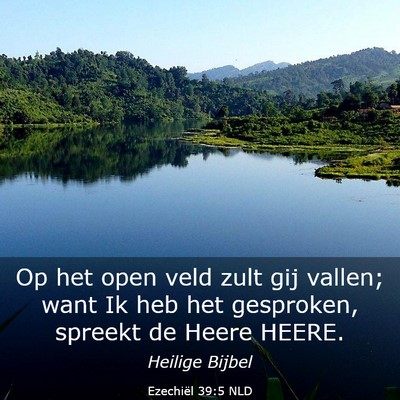 Picture 03 - Ezechiël 39:5 NLD - Op het open veld zult gij vallen; want Ik heb het - Bible Verse Picture