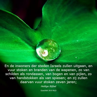 Picture 03 - Ezechiël 39:9 NLD - En de inwoners der steden Israels zullen uitgaan, - Bible Verse Picture