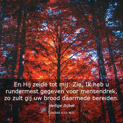 Picture 03 - Ezechiël 4:15 NLD - En Hij zeide tot mij: Zie, Ik heb u rundermest - Bible Verse Picture