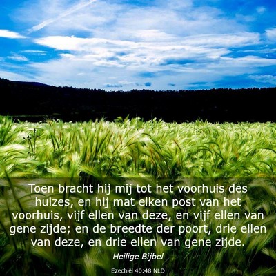 Picture 03 - Ezechiël 40:48 NLD - Toen bracht hij mij tot het voorhuis des huizes, - Bible Verse Picture