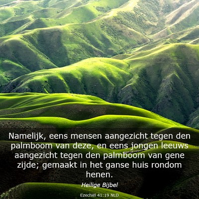 Picture 03 - Ezechiël 41:19 NLD - Namelijk, eens mensen aangezicht tegen den - Bible Verse Picture