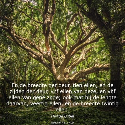 Picture 03 - Ezechiël 41:2 NLD - En de breedte der deur, tien ellen, en de zijden - Bible Verse Picture
