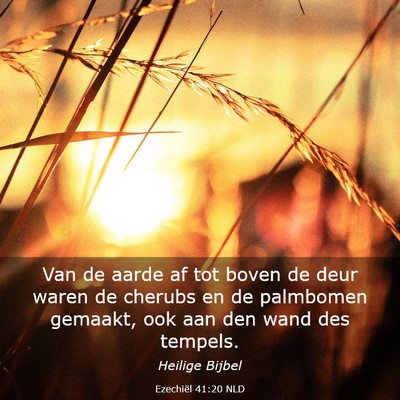 Picture 03 - Ezechiël 41:20 NLD - Van de aarde af tot boven de deur waren de - Bible Verse Picture