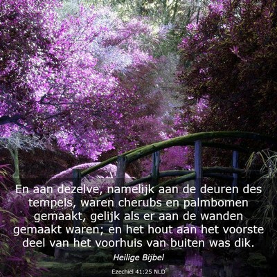 Picture 03 - Ezechiël 41:25 NLD - En aan dezelve, namelijk aan de deuren des - Bible Verse Picture