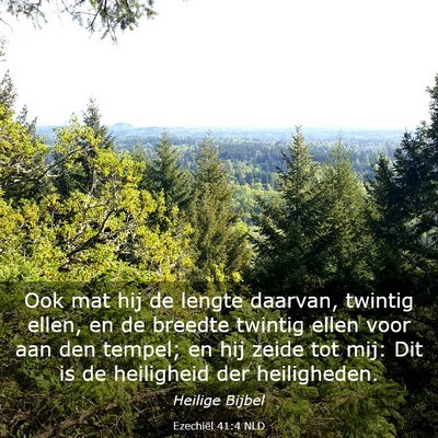 Picture 03 - Ezechiël 41:4 NLD - Ook mat hij de lengte daarvan, twintig ellen, en - Bible Verse Picture