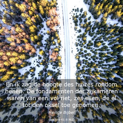 Picture 03 - Ezechiël 41:8 NLD - En ik zag de hoogte des huizes rondom henen. De - Bible Verse Picture