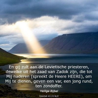 Picture 03 - Ezechiël 43:19 NLD - En gij zult aan de Levietische priesteren, - Bible Verse Picture