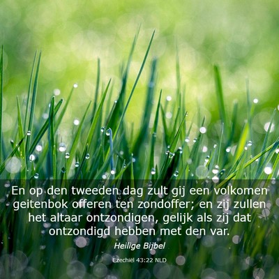 Picture 03 - Ezechiël 43:22 NLD - En op den tweeden dag zult gij een volkomen - Bible Verse Picture