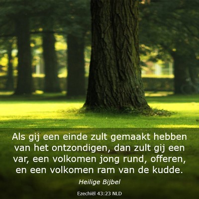 Picture 03 - Ezechiël 43:23 NLD - Als gij een einde zult gemaakt hebben van het - Bible Verse Picture