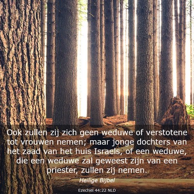Picture 03 - Ezechiël 44:22 NLD - Ook zullen zij zich geen weduwe of verstotene tot - Bible Verse Picture