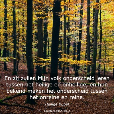 Picture 03 - Ezechiël 44:23 NLD - En zij zullen Mijn volk onderscheid leren tussen - Bible Verse Picture