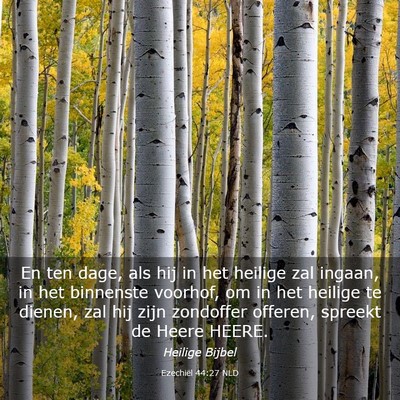 Picture 03 - Ezechiël 44:27 NLD - En ten dage, als hij in het heilige zal ingaan, - Bible Verse Picture