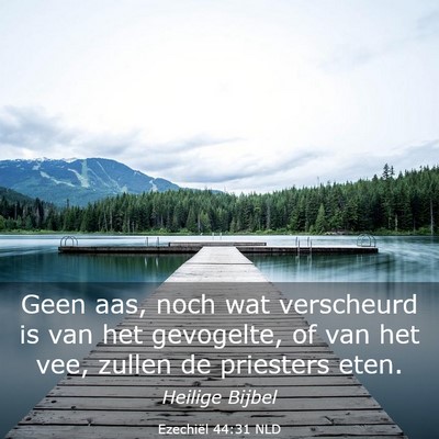 Picture 03 - Ezechiël 44:31 NLD - Geen aas, noch wat verscheurd is van het - Bible Verse Picture
