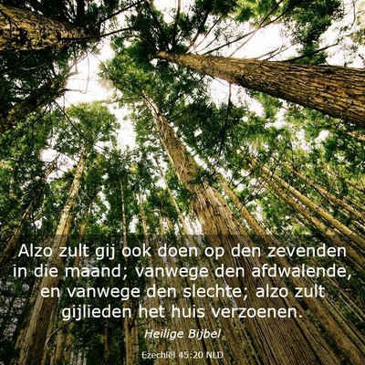 Picture 03 - Ezechiël 45:20 NLD - Alzo zult gij ook doen op den zevenden in die - Bible Verse Picture