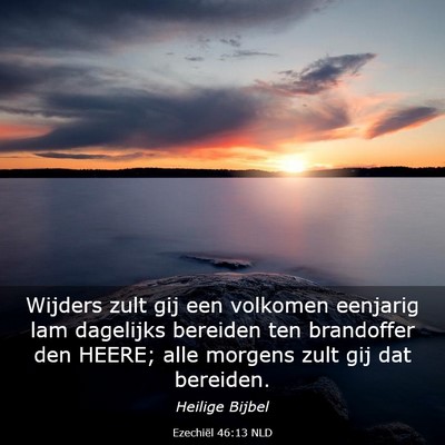 Picture 03 - Ezechiël 46:13 NLD - Wijders zult gij een volkomen eenjarig lam - Bible Verse Picture