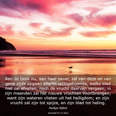 Picture 03 - Ezechiël 47:12 NLD - Aan de beek nu, aan haar oever, zal van deze en - Bible Verse Picture