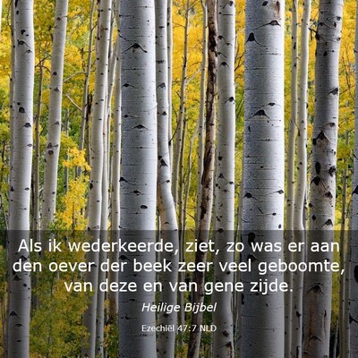 Picture 03 - Ezechiël 47:7 NLD - Als ik wederkeerde, ziet, zo was er aan den oever - Bible Verse Picture