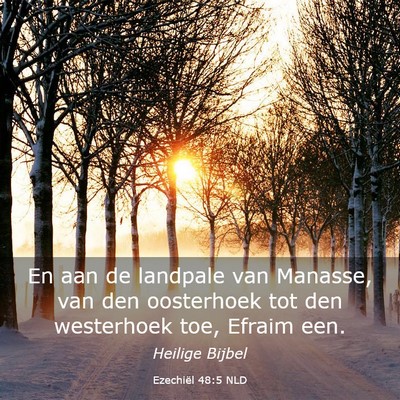 Picture 03 - Ezechiël 48:5 NLD - En aan de landpale van Manasse, van den - Bible Verse Picture