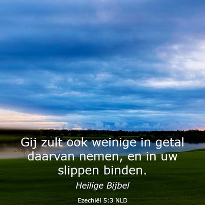 Picture 03 - Ezechiël 5:3 NLD - Gij zult ook weinige in getal daarvan nemen, en - Bible Verse Picture