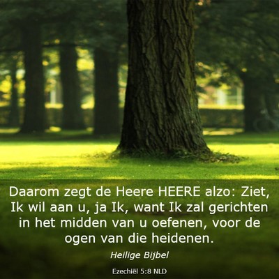 Picture 03 - Ezechiël 5:8 NLD - Daarom zegt de Heere HEERE alzo: Ziet, Ik wil aan - Bible Verse Picture