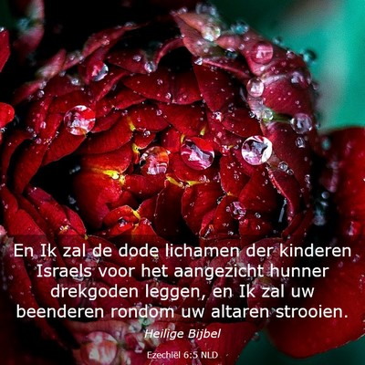 Picture 03 - Ezechiël 6:5 NLD - En Ik zal de dode lichamen der kinderen Israels - Bible Verse Picture