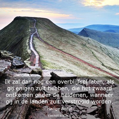 Picture 03 - Ezechiël 6:8 NLD - Ik zal dan nog een overblijfsel laten, als gij - Bible Verse Picture