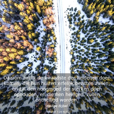 Picture 03 - Ezechiël 7:24 NLD - Daarom zal Ik de kwaadste der heidenen doen - Bible Verse Picture